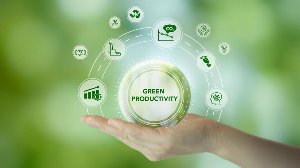 BIO-BASED PRODUCTS