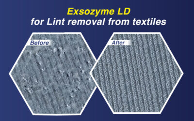 Exsozyme LD for Lint removal from textiles