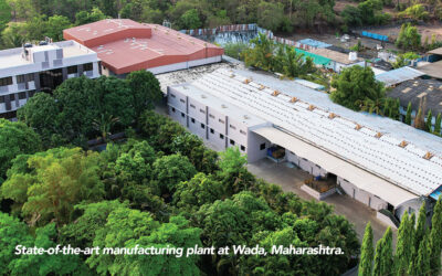 Sustaining Success: Intexso Biochem Pvt. Ltd. Leading the Way in Sustainable Practices